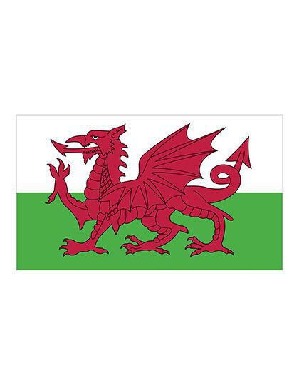 Flag Wales printwear  - Inne